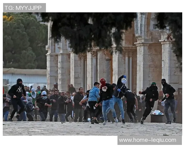 大学与巴勒斯坦人之间的对话与冲突探讨